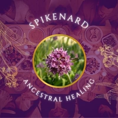 Spikenard for ancestral healing